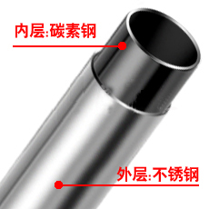 ��Ĳ���ָ��Ϲܽṹͼ